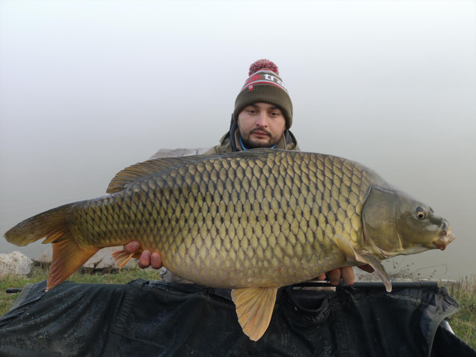 Păușești - img20191019081156.jpg